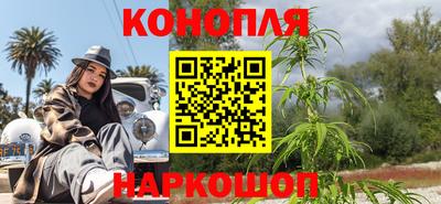 шишки Шебекино